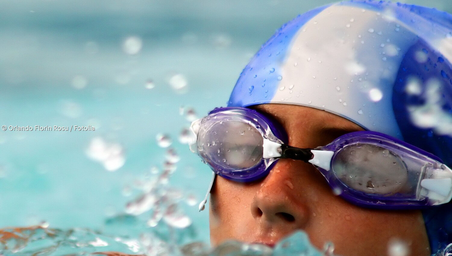 Kurzmeldungen Zum Thema Delfinschwimmen Paradisi De