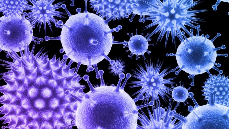 3D Grafik violette und blaue leuchtende Viren auf schwarzem Hintergrund