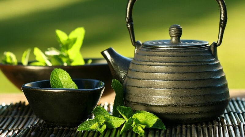 Asiatische Teekanne und grüne Minzblätter