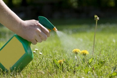 Einsatz von Pflanzenschutzmittel mit dem Wirkstoff Glyphosat soll reduziert werden