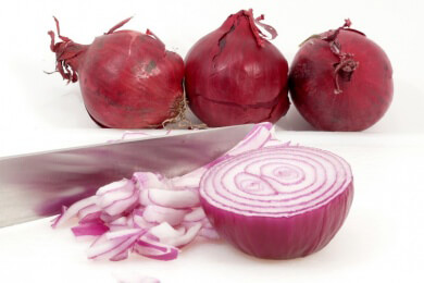 Die Zwiebel - Eine der ältesten Kulturpflanzen überhaupt