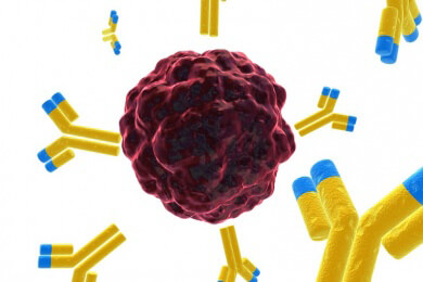 Mit Interferon-beta gegen Krebs: Eiweißmolekül bekämpft Tumore erfolgreich
