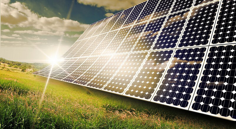 Sonne scheint auf eine riesige Anlage mit Solarpanels auf grüner Wiese