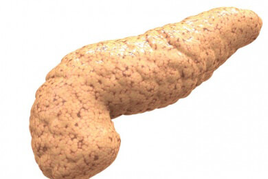 Hormontherapie in den Wechseljahren kann Bauchspeicheldrüsenentzündung verursachen