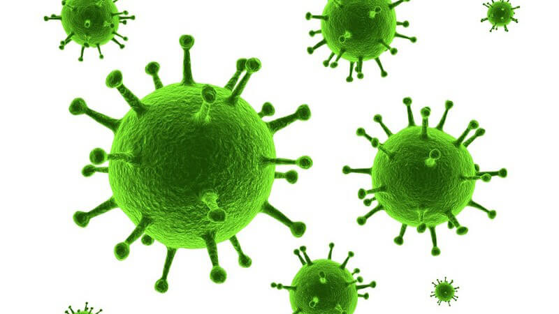 3D Grafik grüne Viren auf weißem Hintergrund