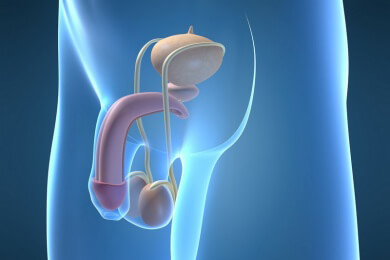 Prostatakrebs: Bei welchen Männern kommt es nach einer Prostata-Entfernung erneut zu Krebs?