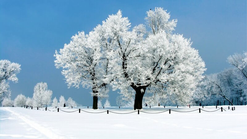Winterlandschaft unter blauem Himmel