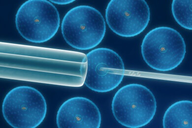 Uni Heidelberg darf umstrittenem Stammzellforscher nicht die Mittel kürzen