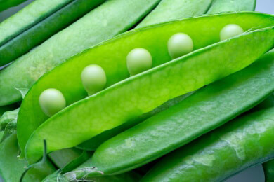 Erbsen - grüne Eiweißbomben mit und ohne Hülse