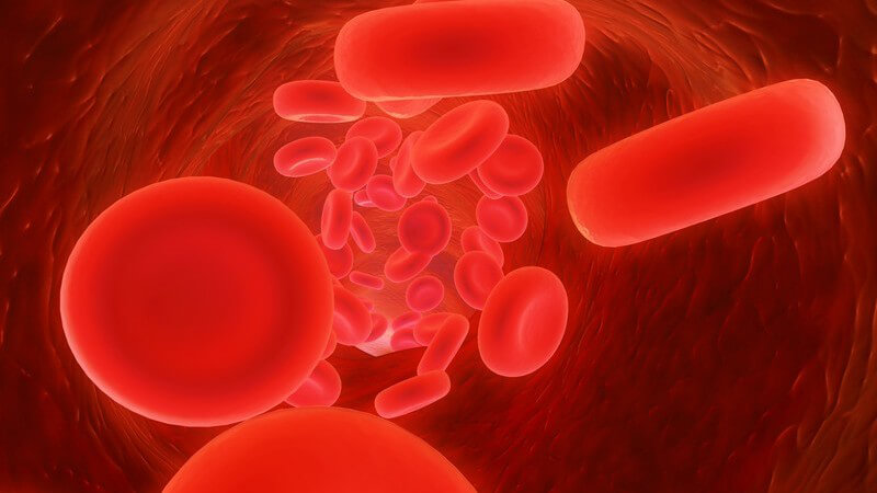 Grafik Blutkörperchen bewegen sich durch Blutbahn