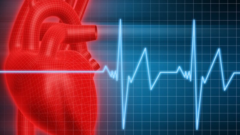 Grafik Herz mit EKG vom Herzschlag Puls