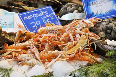 Beifang gefährdet das Ökosystem der Meere