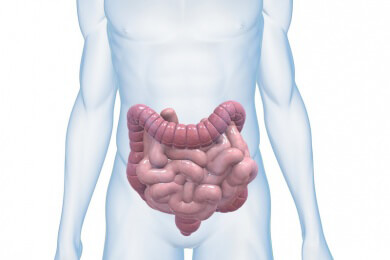 Bisher unbekannte Ursache von Morbus Crohn könnte bald entschlüsselt sein