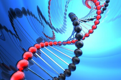 Wissenschaftler rekonstruieren Gesicht eines Menschen aus seiner DNA