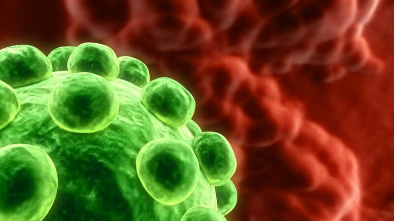 Nahaufnahme 3D Grafik grünes Virus, roter Hintergrund