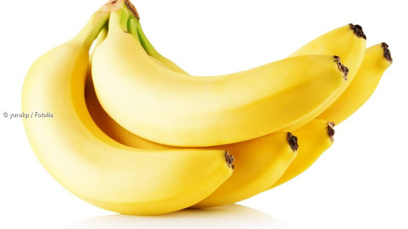 ᐅ Botanische Aspekte der Banane Warum ist die Banane krumm?