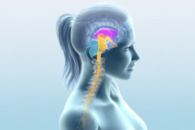 Medizinische Fortschritte zum Welt-Parkinson-Tag 2014 vorgestellt: Hirnschrittmacher helfen