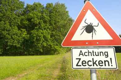 FSME-Gefahr in Süddeutschland am größten - Auch in Sachsen herrscht nun erhöhtes Infektionsrisiko
