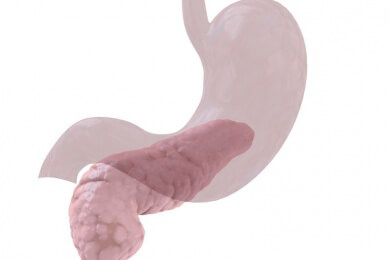 Kleine Zysten in der Bauchspeicheldrüse kein Grund zur Sorge: Regelmäßige Kontrollen reichen