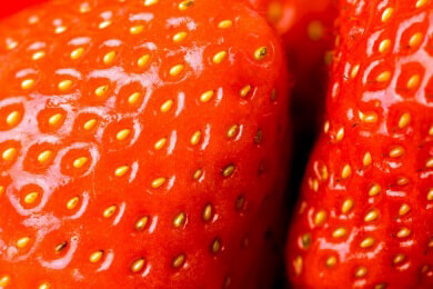 Perfektes Doppel: Erdbeeren und Rharbarber