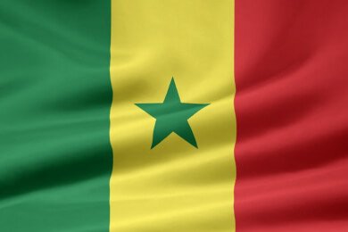 Vogelparadies Saloum-Delta im Senegal - Bootsfahrt im Mangrovenlabyrinth