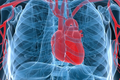 Chronische Herzschwäche als Risikofaktor: Bessere Früherkennung gefordert
