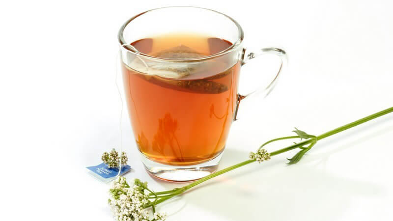 Teeglas oder Teetasse mit Teebeutel und Tee, Kamillentee oder Kräutertee, mit Baldrianzweig, vor weißem Hintergrund