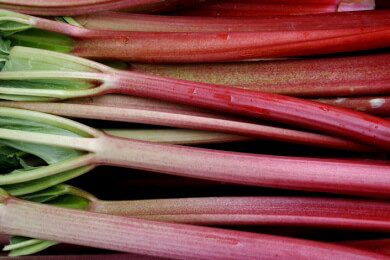 Rhabarber - Ein Gemüse mit Eigenarten