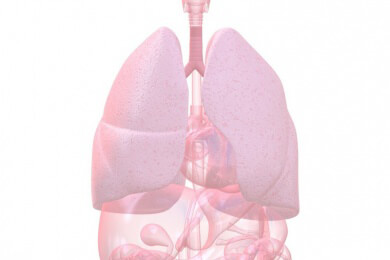Erste Therapie bei idiopathischer Lungenfibrose in Sicht: Medikamente stoppen Vernarbung der Lunge