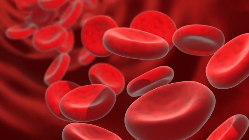3D Grafik rote Blutzellen in Blutbahn