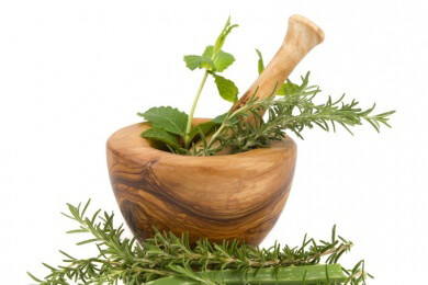 Wildkräuter - gesund, aromatisch und herrlich bunt auf dem Teller