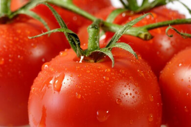 Spanische Tomatina jetzt auch in der chinesischen Stadt Dongguan