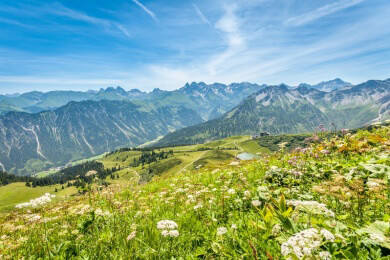 Lama-Trekking: Wandern mit tierischer Begleitung