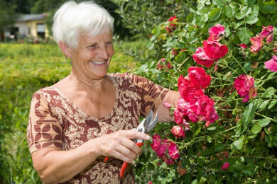 Ziergarten im Juni - Tipps für schöne Blumen und gesunden Rasen