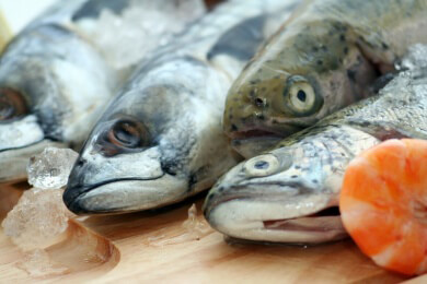 Fischrestaurant Sol e Pesca in Lissabon - Kulthäppchen aus der Dose