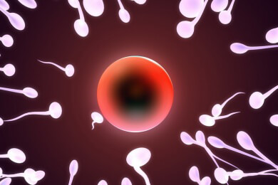 Hormongängige Substanzen im Alltag - wie Zahncreme und Co. den Spermien schaden können