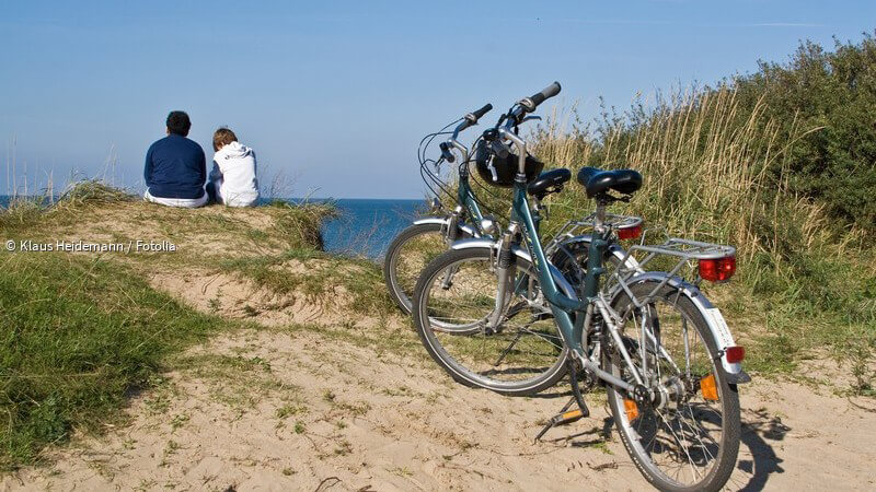 ᐅ Besseres Angebot der Fernbusbetreiber das Fahrrad darf mit