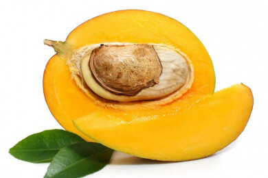 Indien im Mango-Rausch: EU-Importverbot bringt Einheimische in den Genuss edelster Früchte