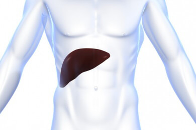 Infektion mit Hepatitis C als Therapie: Erreger könnte Patienten mit Lebertransplantation helfen