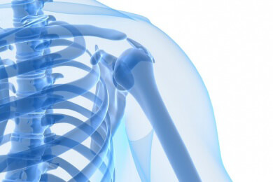 Fettanteil in den Knochen kann durch Bewegung verringert werden