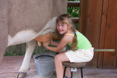 Sommerurlaub im Grünen: Was Eltern auf Bauernhöfen beachten sollten