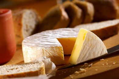 Pappelholz-Mangel in Frankreich gefährdet Qualität des Camemberts