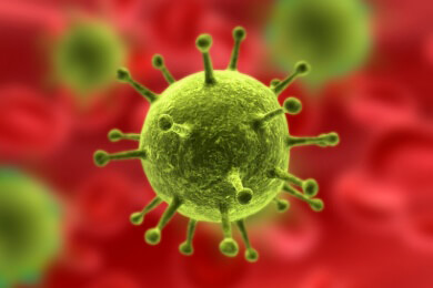 Tödliche Seuche in Afrika - Fakten und Informationen über das Ebola-Virus