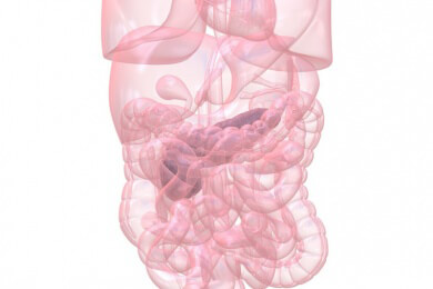 Bauchspeicheldrüsenkrebs - Forscher finden neue Risikogene