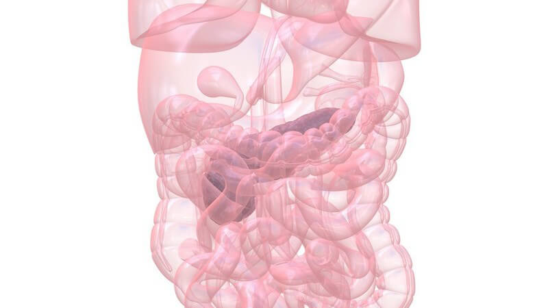 Grafik Organe mit Bauchspeicheldrüse hervorgerufen