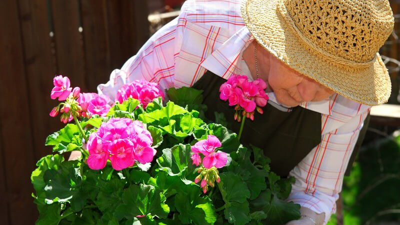 Alte Frau mit Strohhut bei der Gartenarbeit