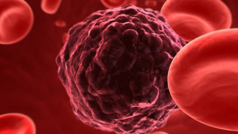 3D Grafik dunkelrote Krebszelle in Blutbahn mit Blutzellen