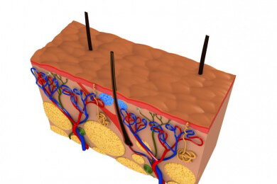 Krankheiten des Magen-Darm-Trakts lassen sich teilweise auf der Haut erkennen