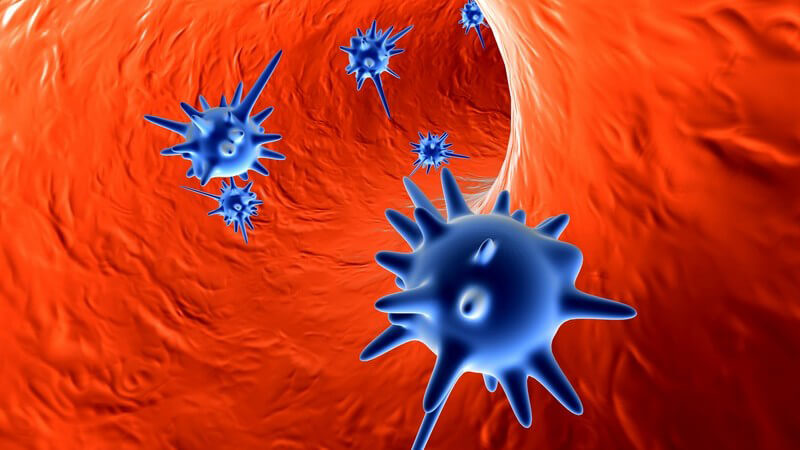 Anatomie - Grafik von blauen Viren in der Blutbahn