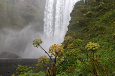 Radtour extrem - auf der Köljur-Piste durch Island